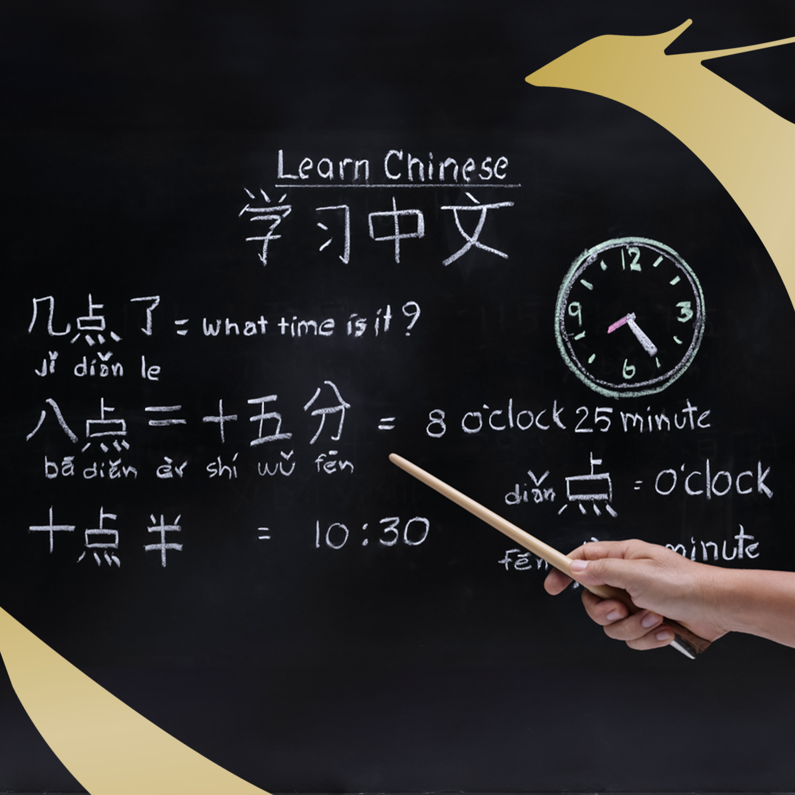 Chinese language learning expert