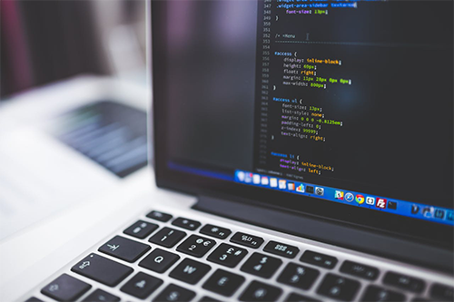Professional Web Development Agency